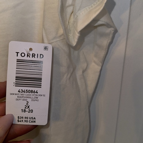 NWT🍎 Torrid Snow White Tarot Classic Crew Tee 🆕 - Picture 4 of 4